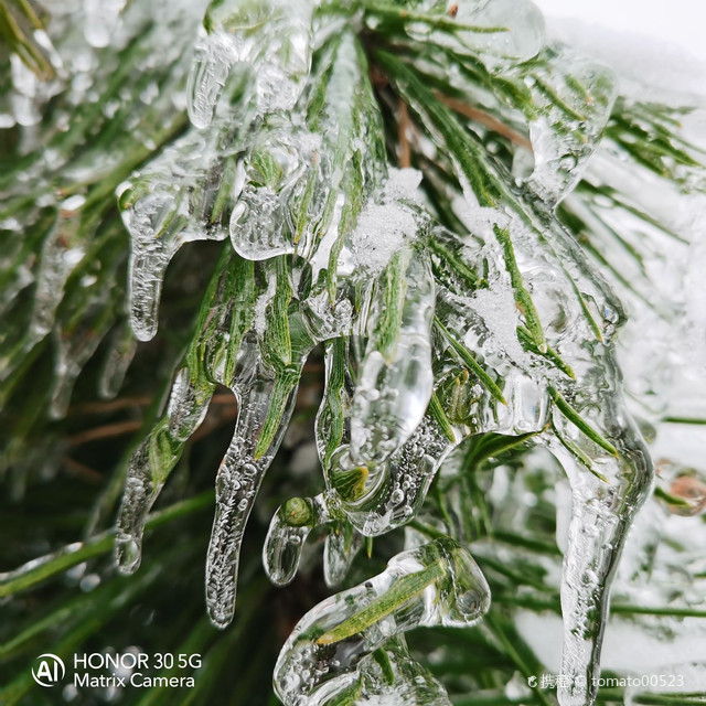2020冻雨邂逅冰雪