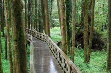 嘉义阿里山火车站附近有一个桧木的小村子，日据时期提供给砍伐木头的日本的头头和台湾位皆比较高的人住的宿