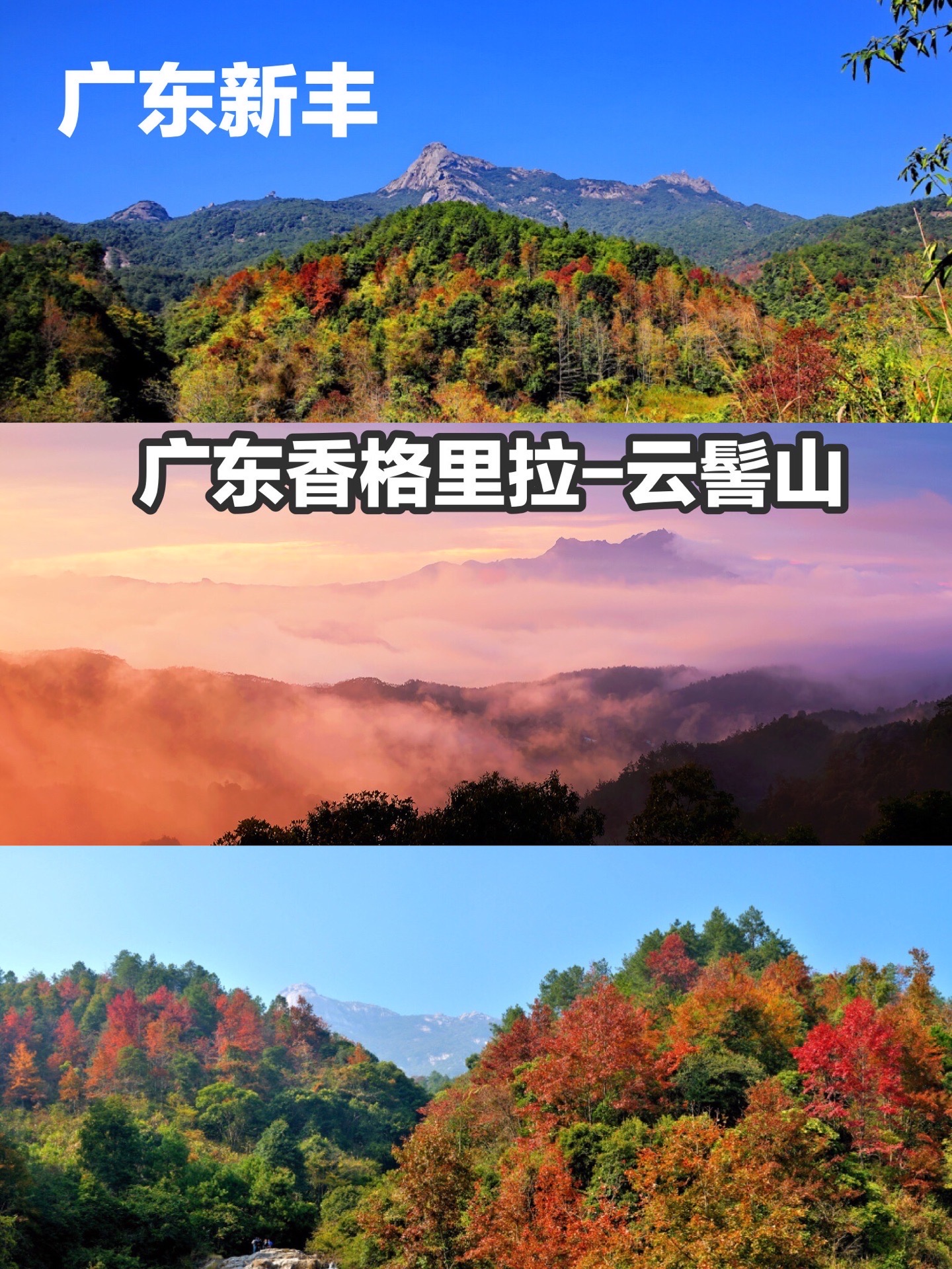 韶关云髻山自然保护区景点怎么样