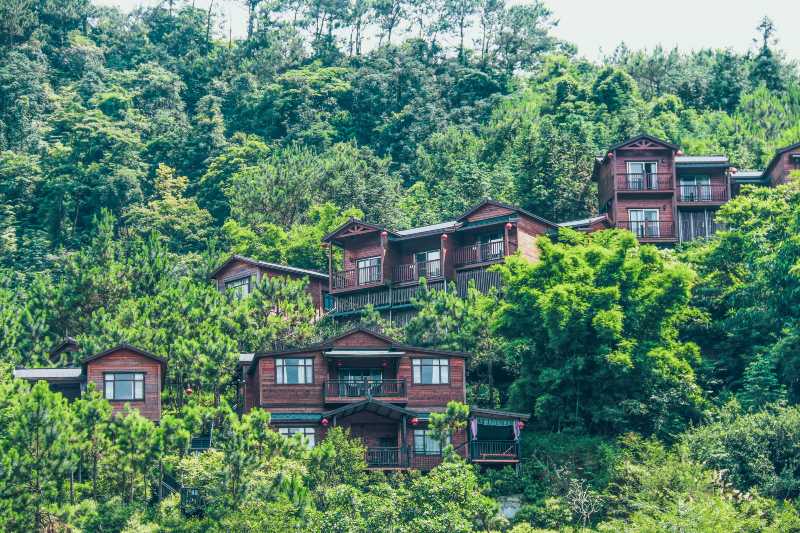 春节不出远门天露山赏七彩梯田花谷