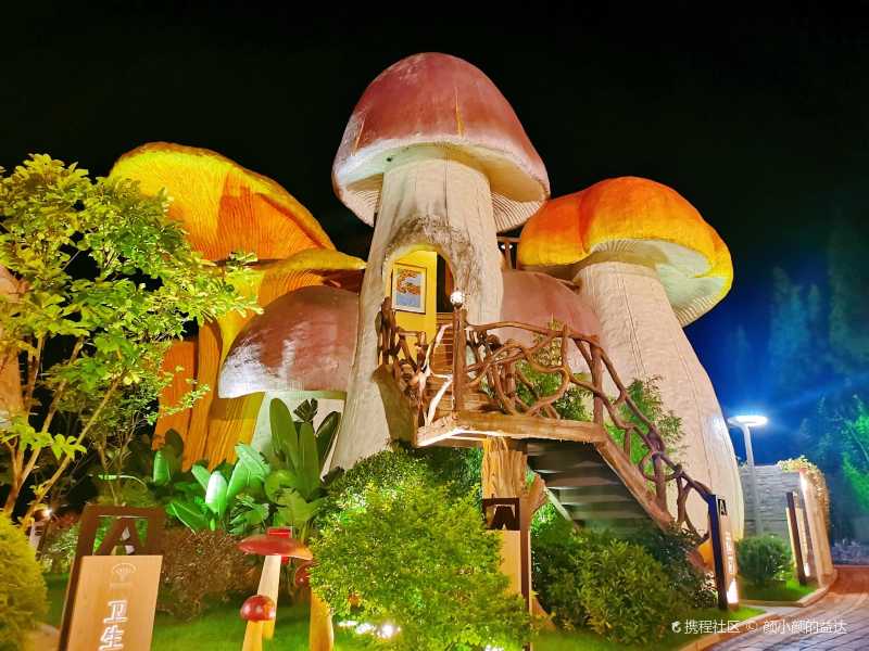 兴义网红蘑菇野奢酒店