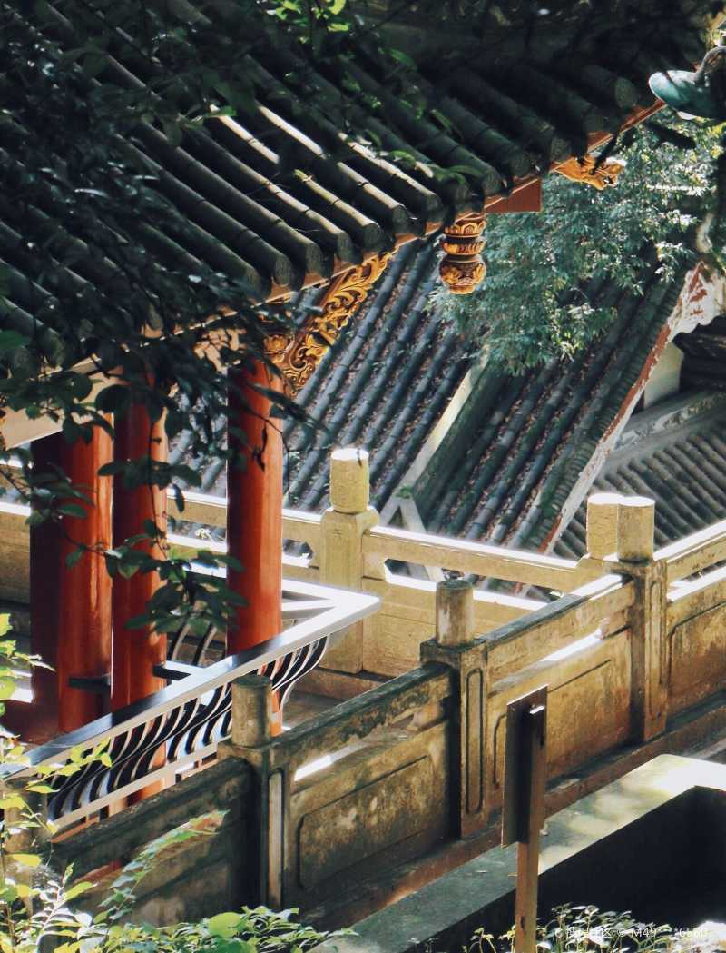 崇州|1.5h  跟我去"京都"的森林茶室忙里偷闲