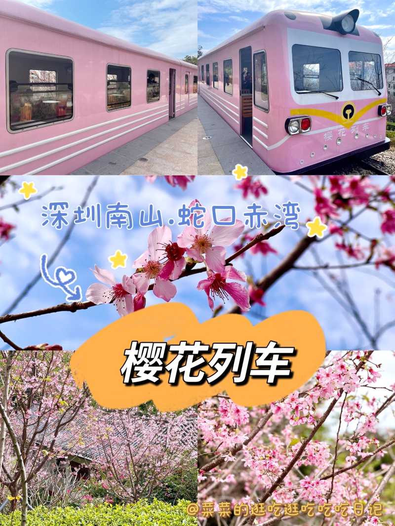 深圳过年好去处新年深圳花最多的地方