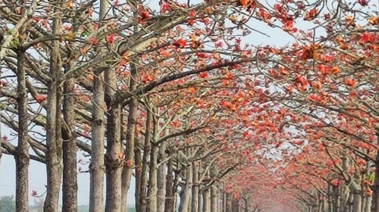 携程攻略 携程旅游攻略 自助游 自驾游 出游 自由行攻略指南