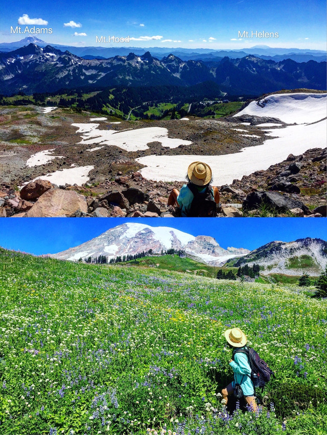 雷尼尔雪山国家公园之天际线徒步道 照片版 携程氢气球