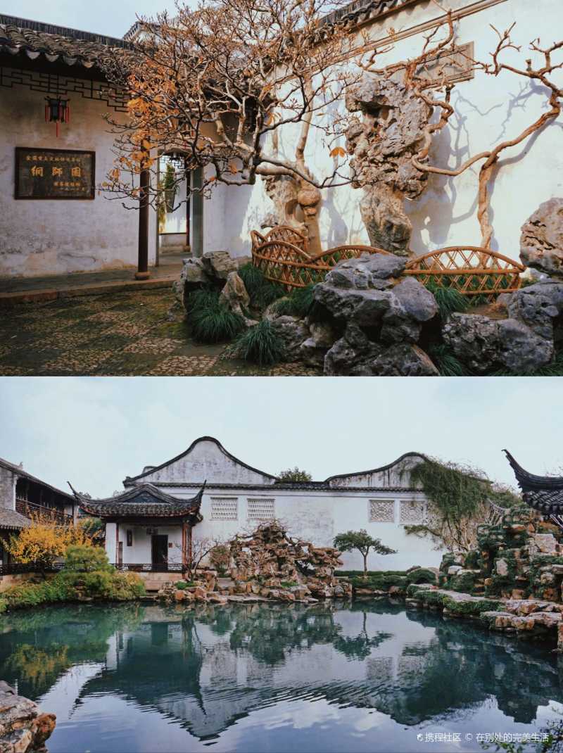 苏州园林打卡墙裂推荐之网师园庭院深深深几许