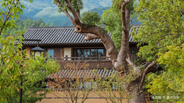 九江归宗寺攻略-归宗寺门票价格多少钱-团购票价预定优惠-景点地址