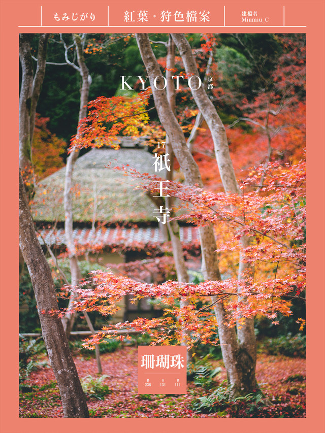 京都紅葉 狩色檔案 17 祇王寺 携程氢气球