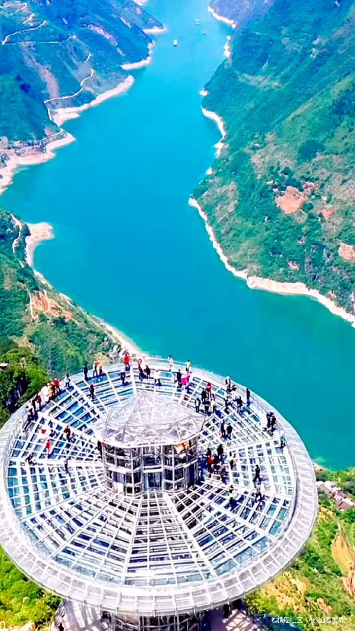 悬崖上的灵芝仙台你敢不敢挑战