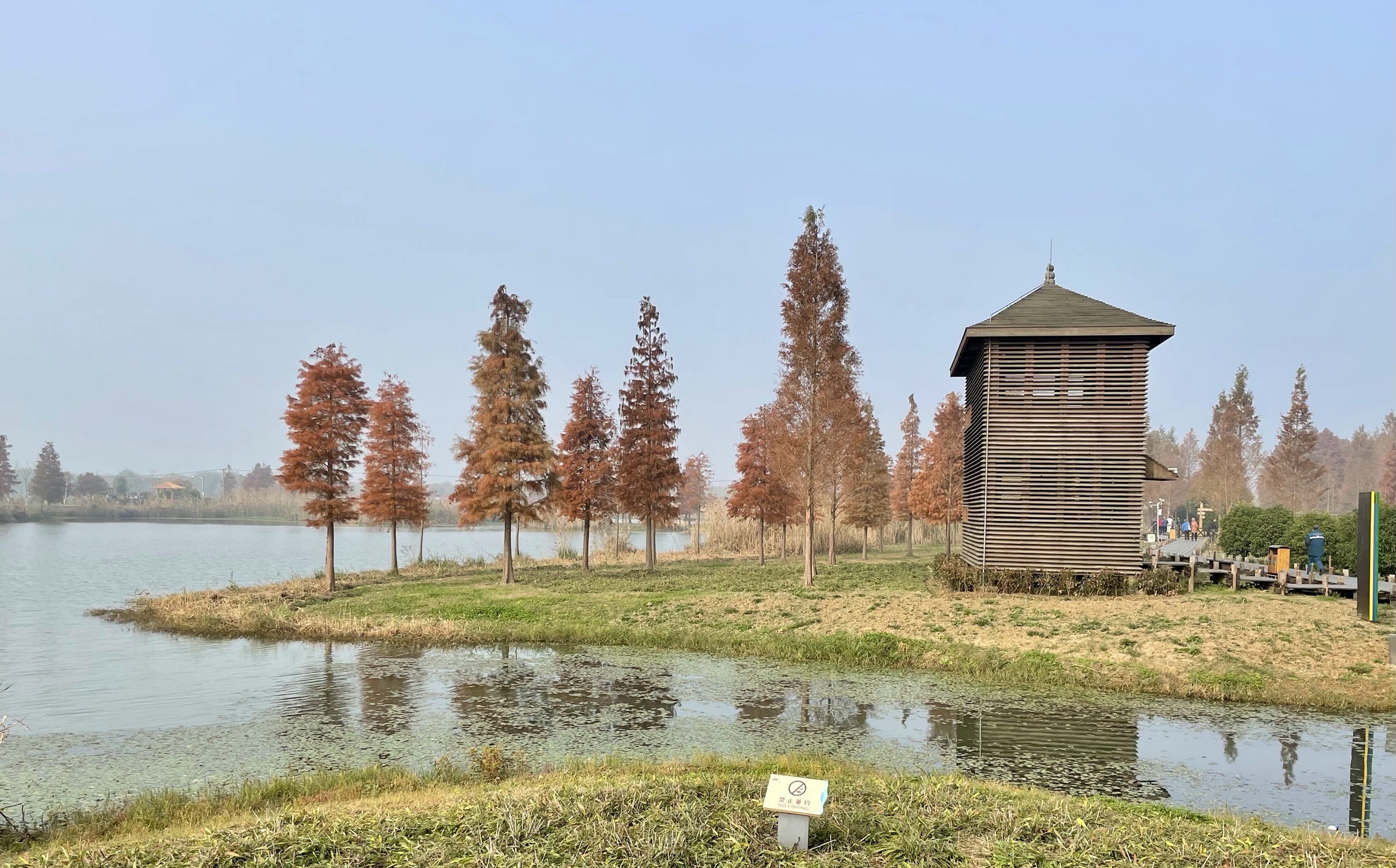 青西郊野蓮湖5號農家樂