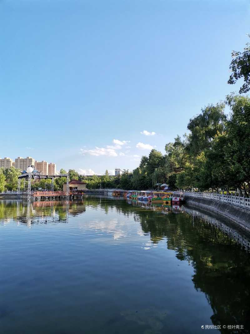 花兒臨夏虎年炫酷東郊公園