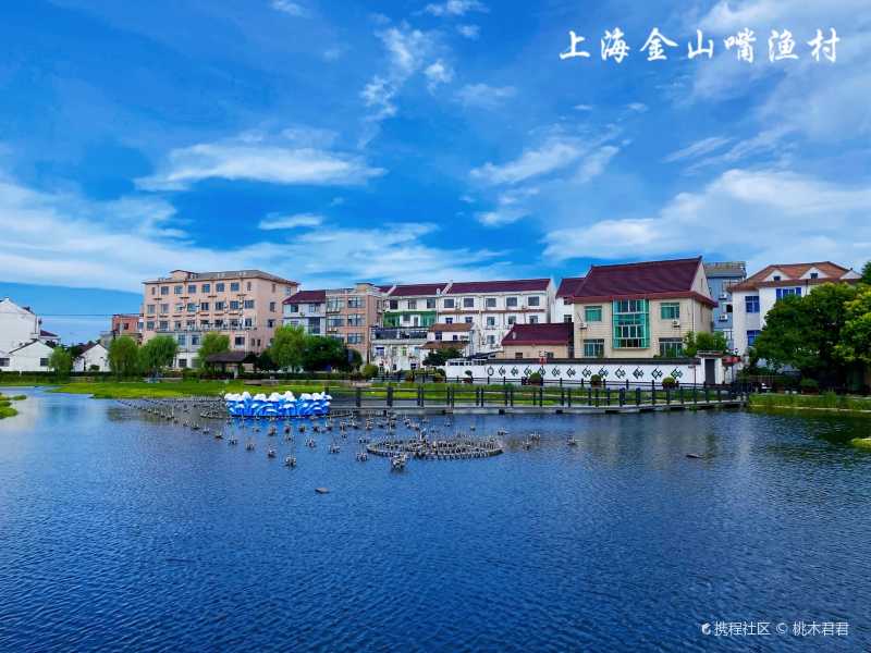 随便走走的溜娃景点金山鱼嘴村