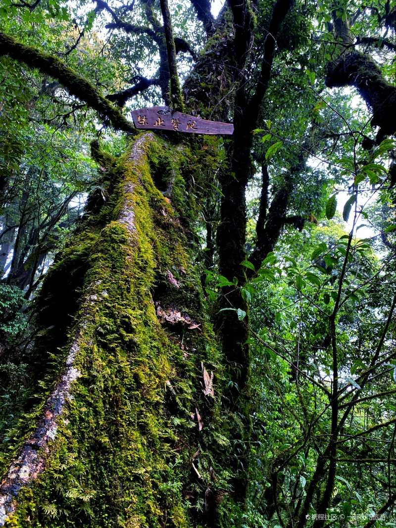 10月5号,游览新平哀牢山景区的 石门峡 景点.一大早从 玉溪