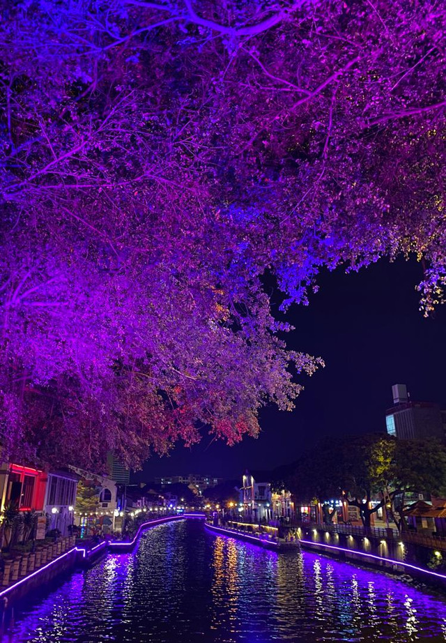 紫色的马六甲河 晚上穿娘惹服爱了爱了 携程氢气球