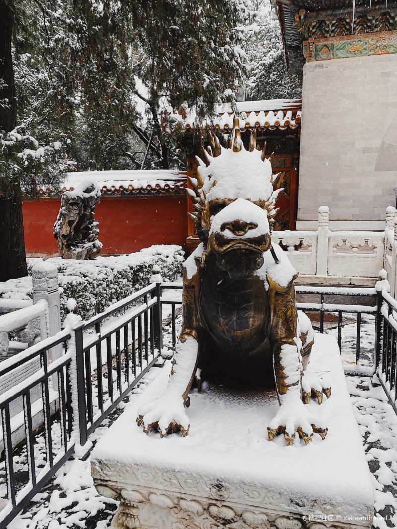 北京故宮|我宣佈 最可愛的神獸原來是他-攜程攻略