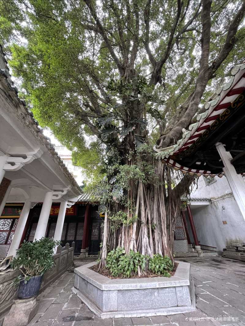 广州最古老的清真寺-携程攻略