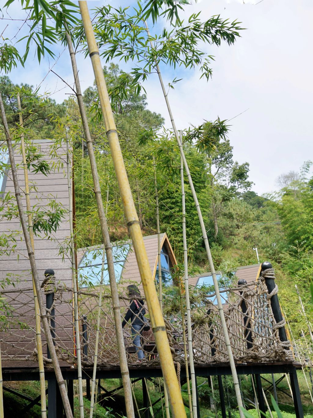3-Day Lincang Tour: Mijing Valley's forest scenery and Dalangba's beauty, enriched by ancient cliff paintings and tribal culture