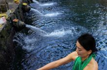 巴厘岛必体验 | 圣泉寺，宁静至美的沐浴仪式
