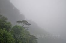 雨中登三清山，有雨趣也有淋漓之苦，雨幕中的风景带着潮湿的味道。