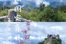 湖南郴州旅游｜莽山国家森林公园超全攻略！