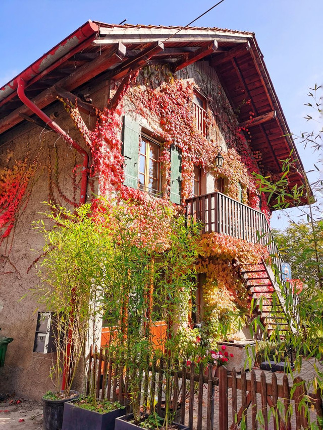 瑞士美食 秋日限定美食的乡间餐厅 携程氢气球