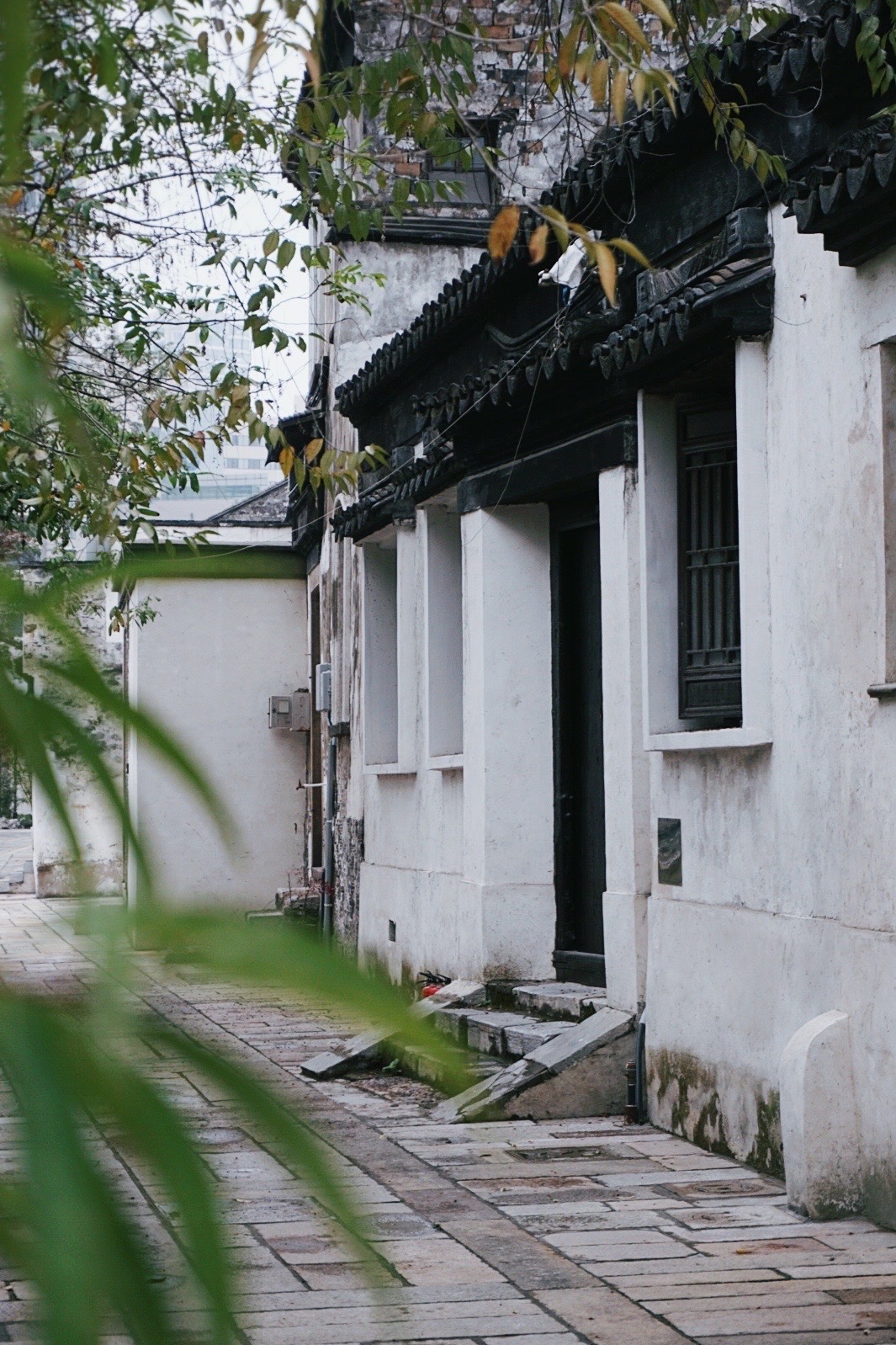 【携程攻略】常州青果巷景点,亮点:青果巷是改造过的老街区,保留了