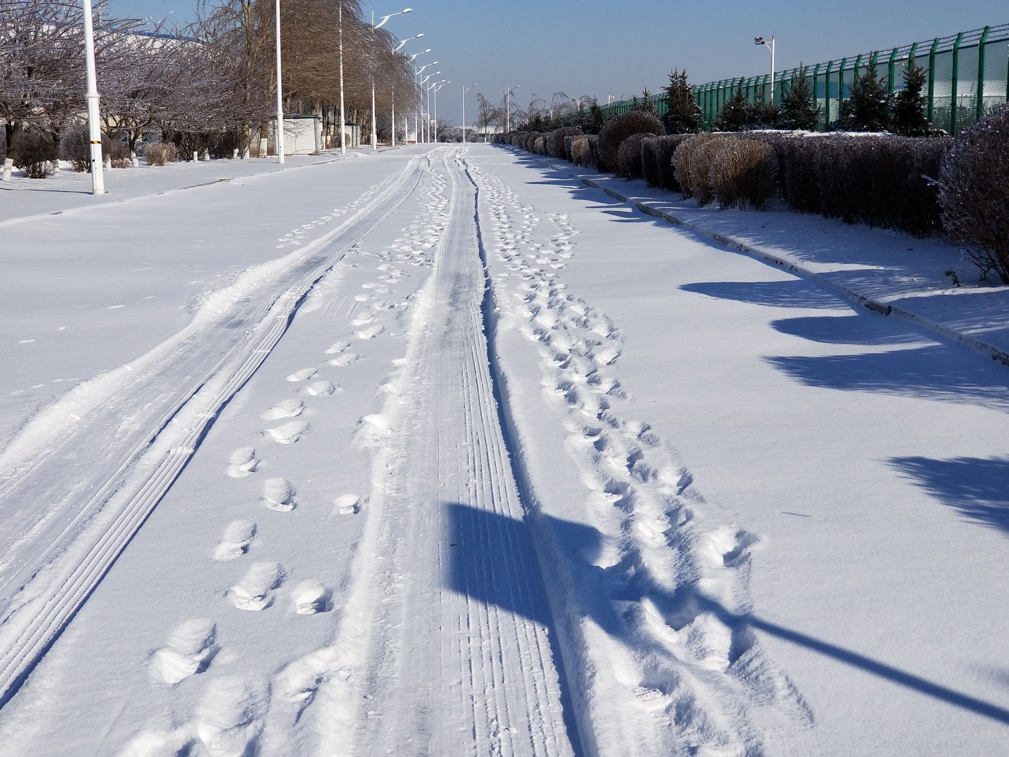 长春九龙源烈士公园攻略,长春九龙源烈士公园门票/游玩攻略/地址/图片
