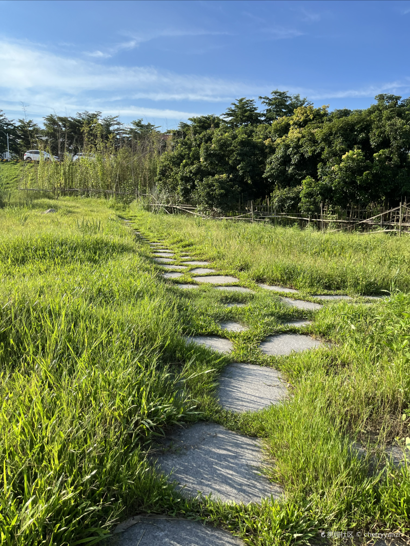 免费遛娃露营地从化夏湾拿湿地公园-携程攻略