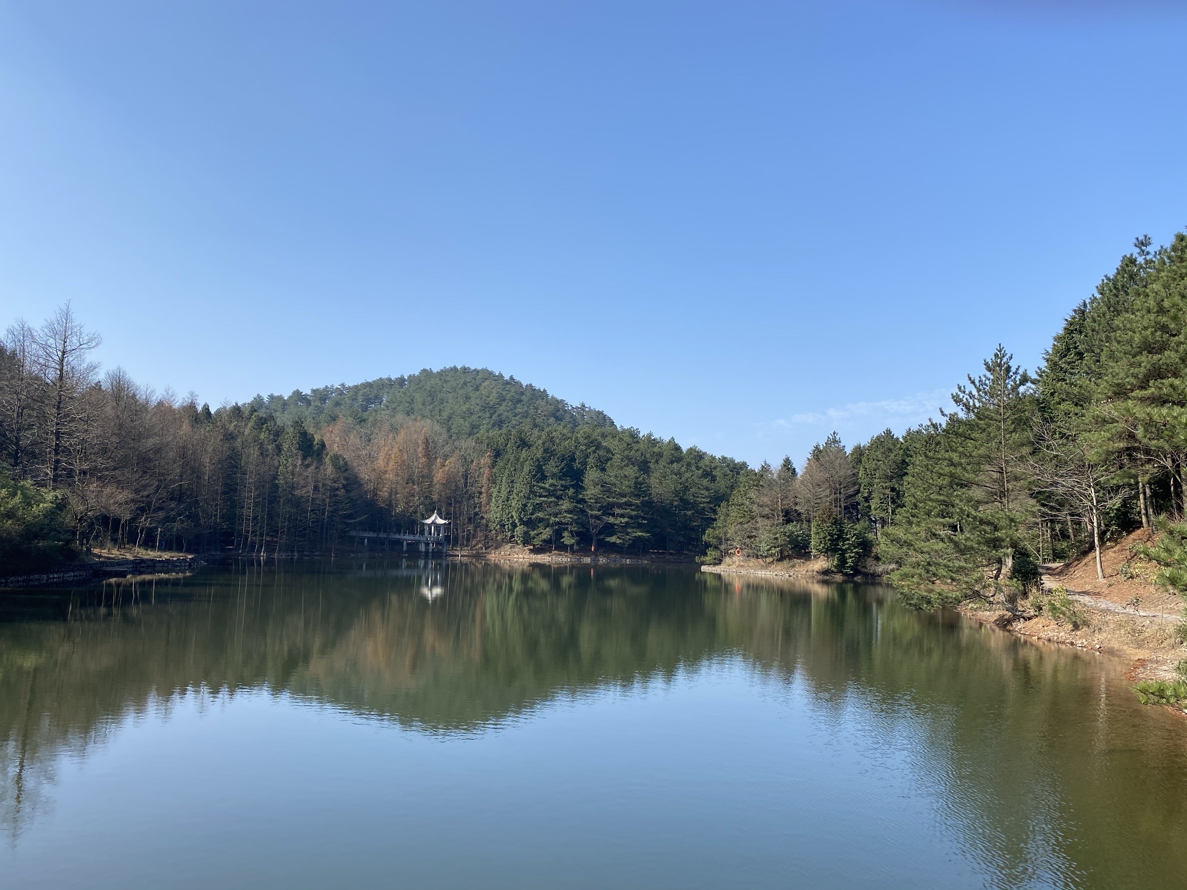 四明山国家森林公园