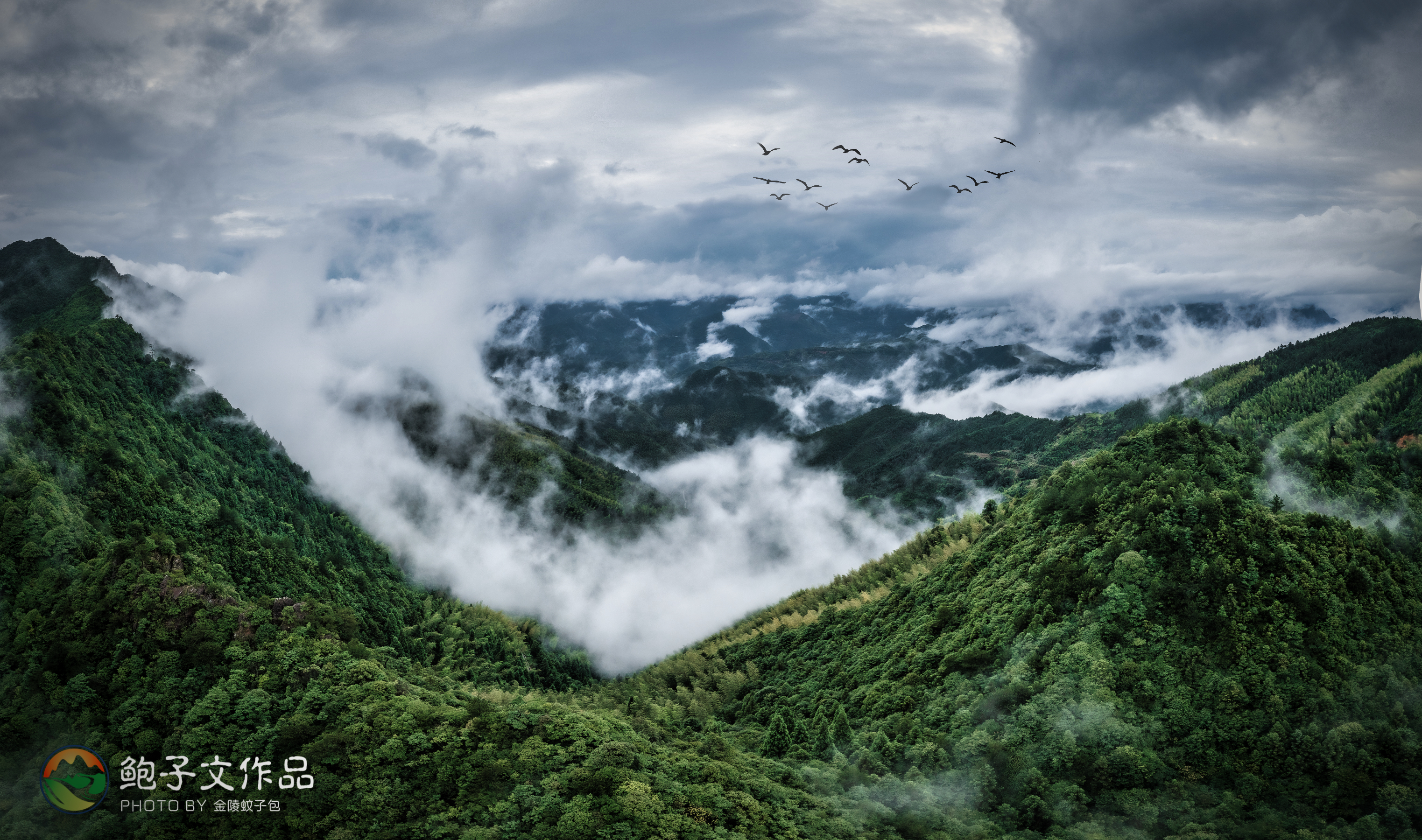 江浙天天高温,松阳箬寮原始林避暑了解下