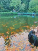 2-Day Shiyan & Danjiangkou Tour: Explore Huanglong Yihao Ecological Garden and the Tranquility of Taichi Lake
