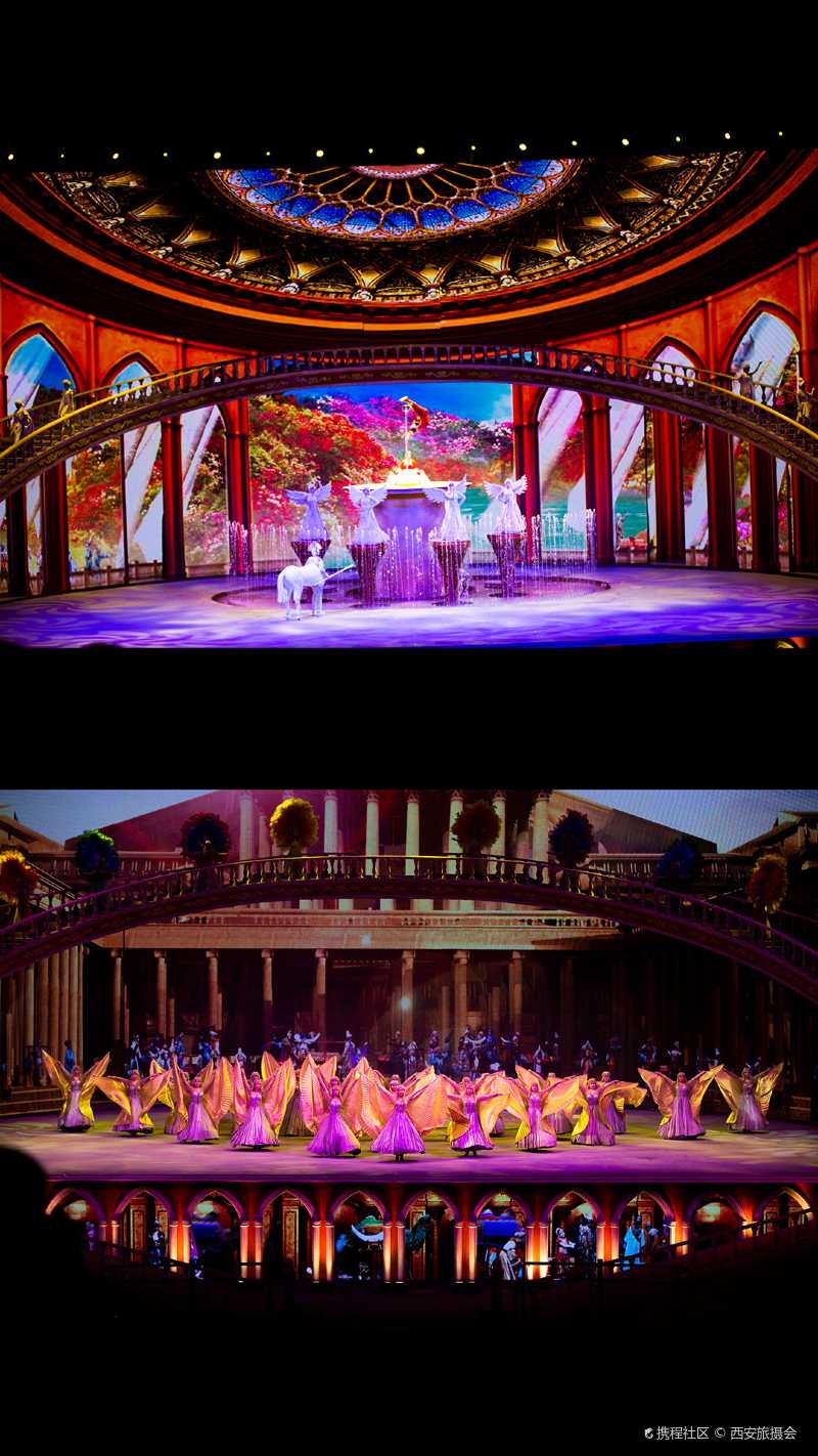 驼铃传奇会跑的实景演艺据说还有狼参演