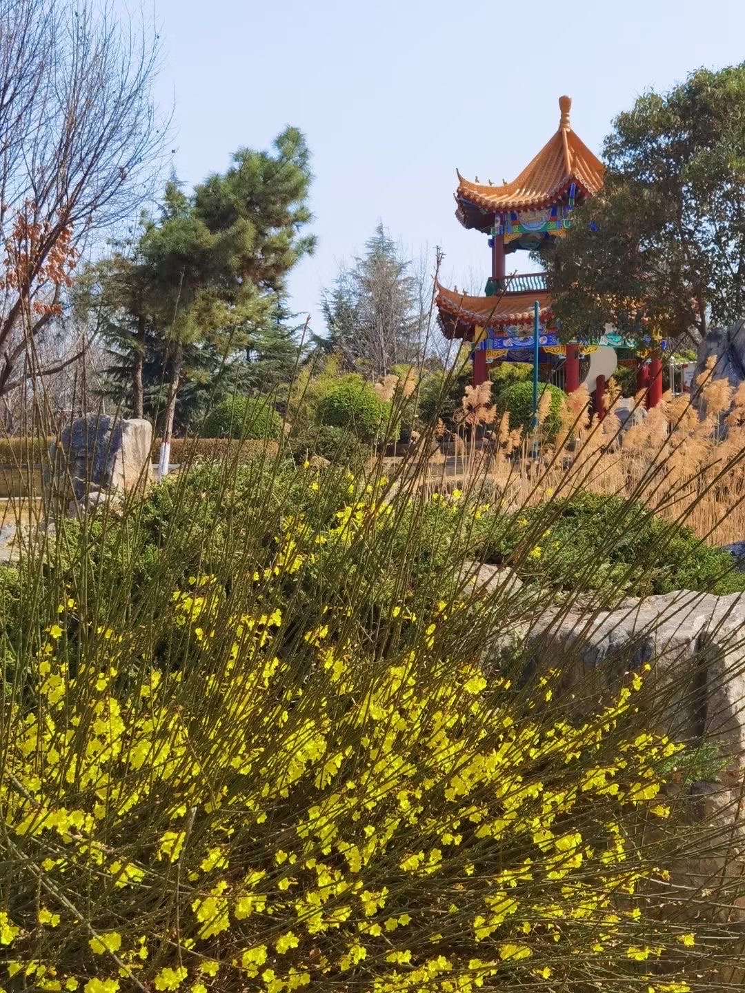 荥阳植物园,位于郑州西15公里处,荥阳市京城路南段,南邻310国道