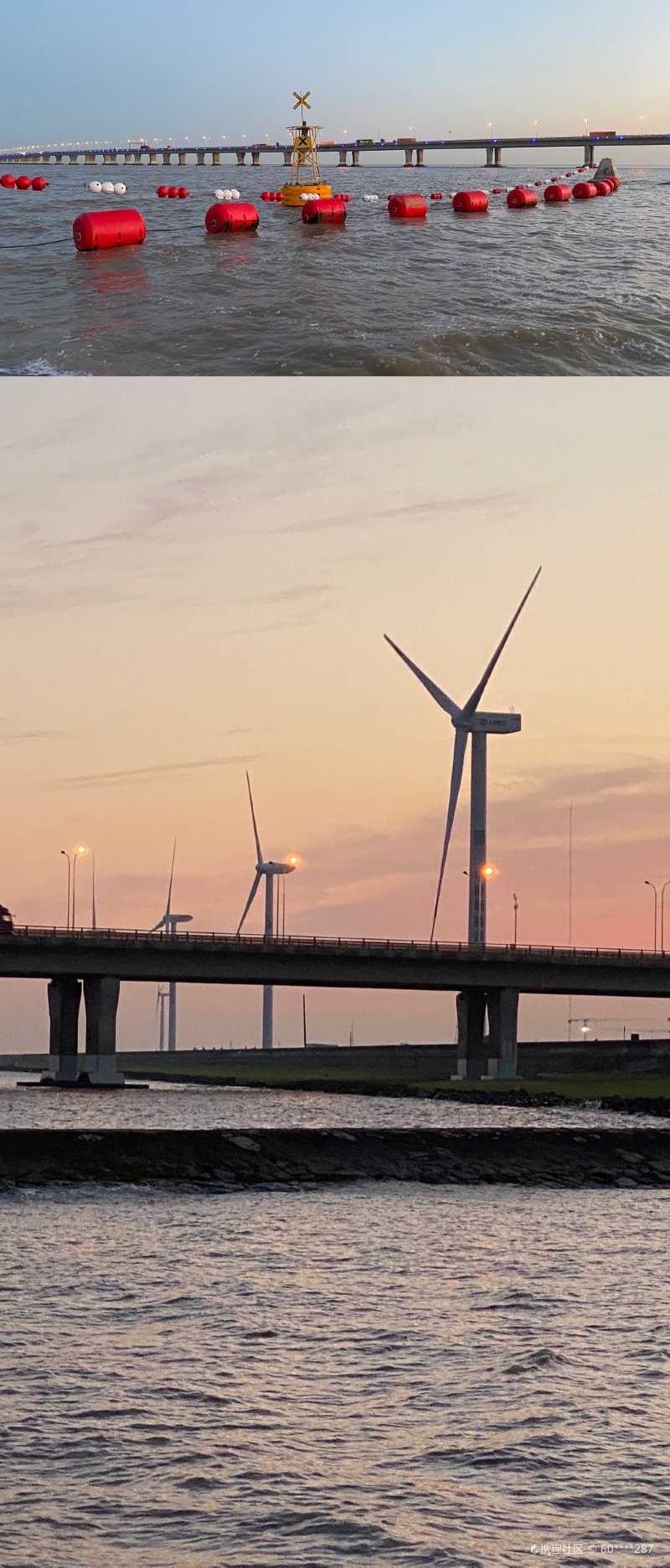 东海大桥边的风车湾