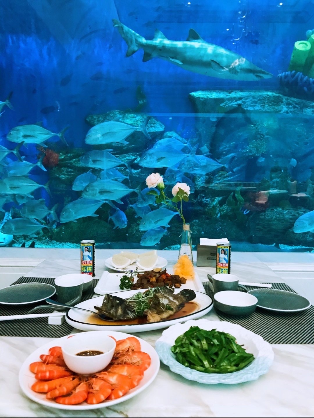 三亚海底餐厅叫什么名字,三亚问题,马尔代夫旅游 - wee旅