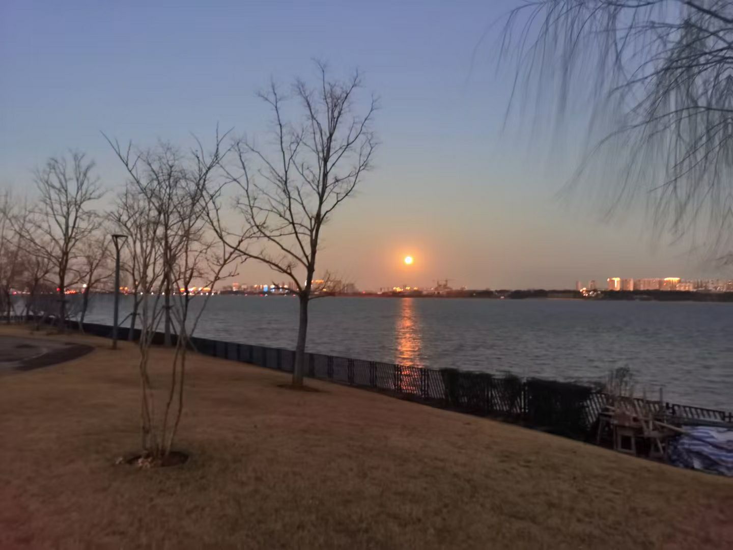 武汉汤逊湖壹号湿地公园攻略-汤逊湖壹号湿地公园门票价格多少钱-团购