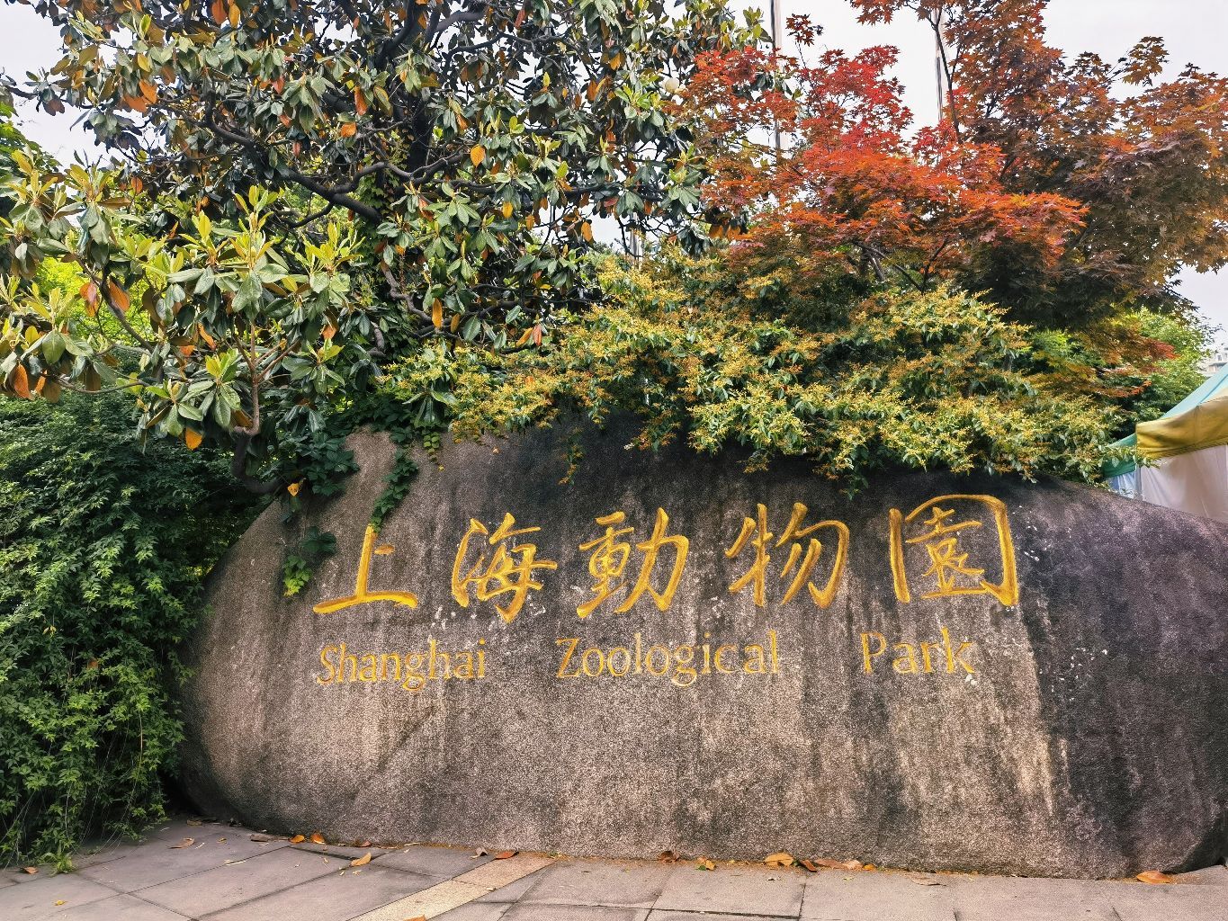 【携程攻略】上海上海动物园景点,西郊公园真是小时候的回忆了,就是现