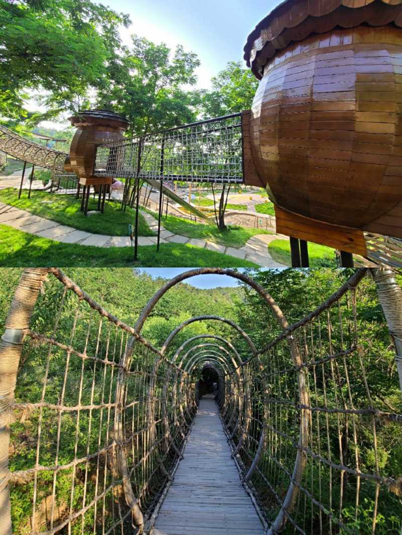 密云欢乐松鼠谷,几百只萌萌哒小松鼠,不插电的儿童游乐场