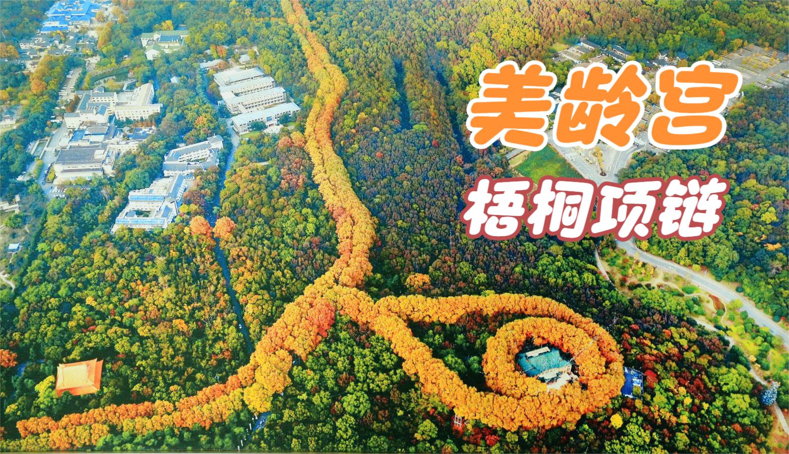 南京地标建筑美龄宫,项链的造型太浪漫了