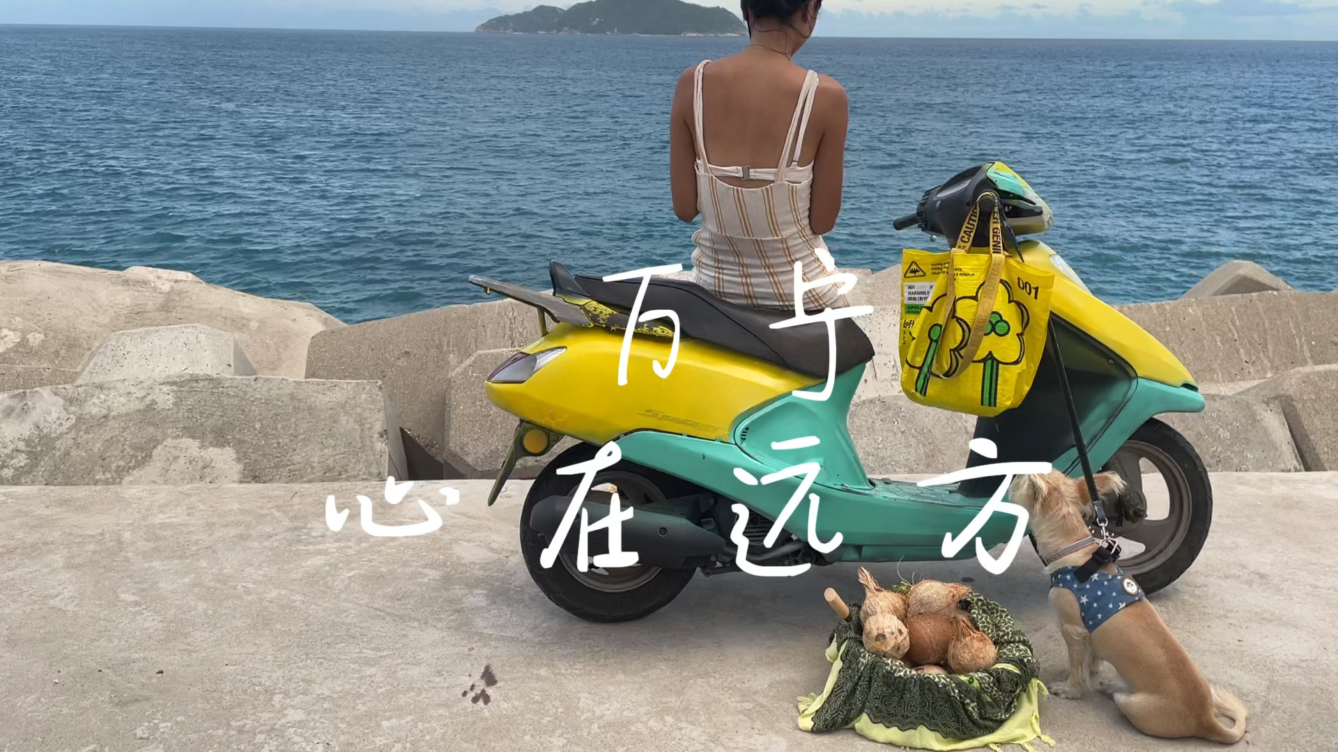 万宁|女人与海,心在远方