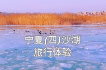 宁夏旅行体验行程安排 冬游沙湖纯净美好
