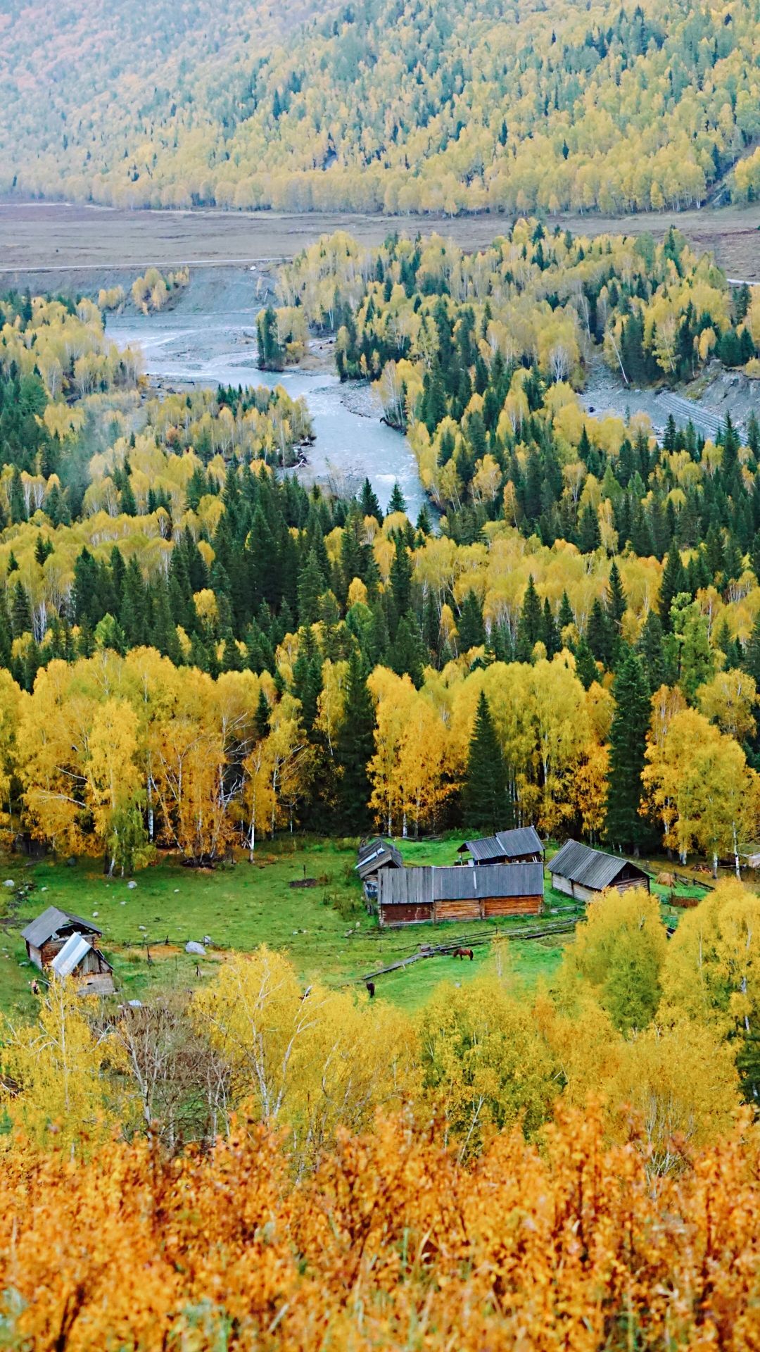 【携程攻略】喀纳斯禾木风景区景点,2020新疆行第二站 最美的季节遇见