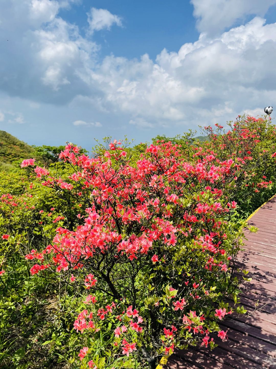大围山国家森林公园
