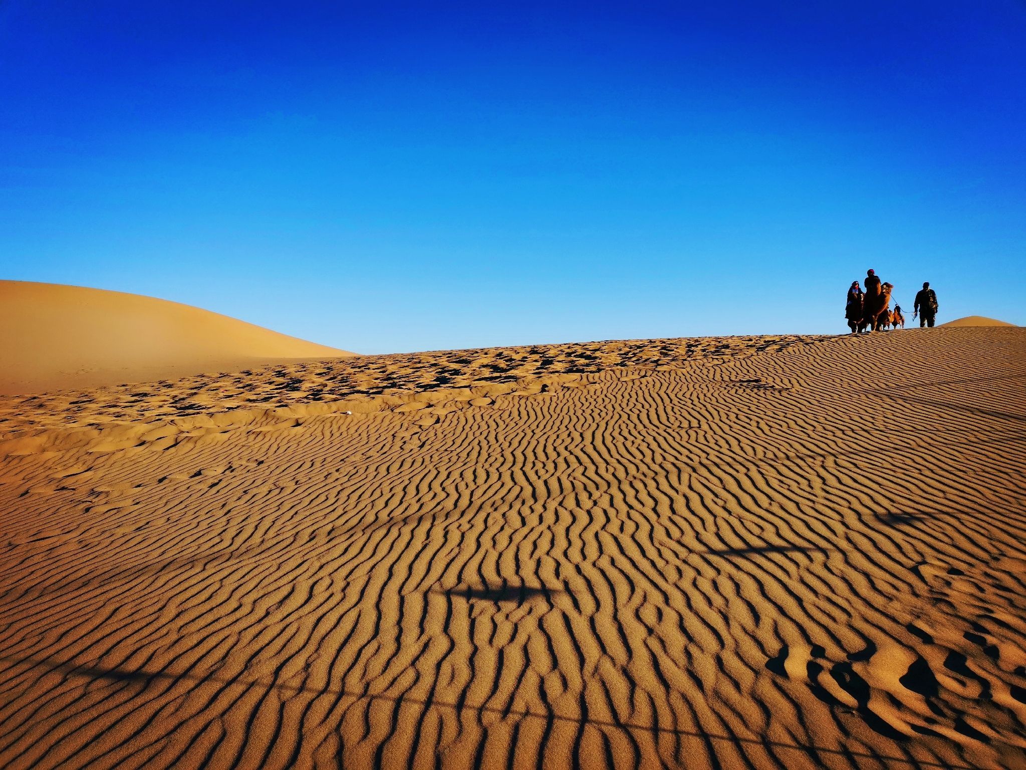 额济纳旗八道桥好玩吗,额济纳旗八道桥景点怎么样_点评_评价【携程