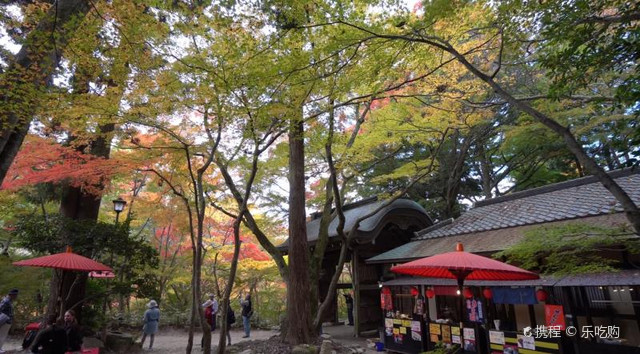 瑞宝寺公园的秋天美景 携程氢气球