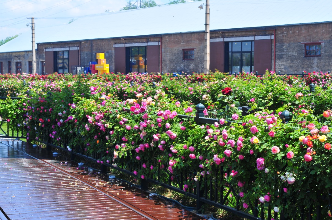 【携程攻略】秦皇岛西港花园景点, 1,景区介绍:秦皇岛西港花园又名