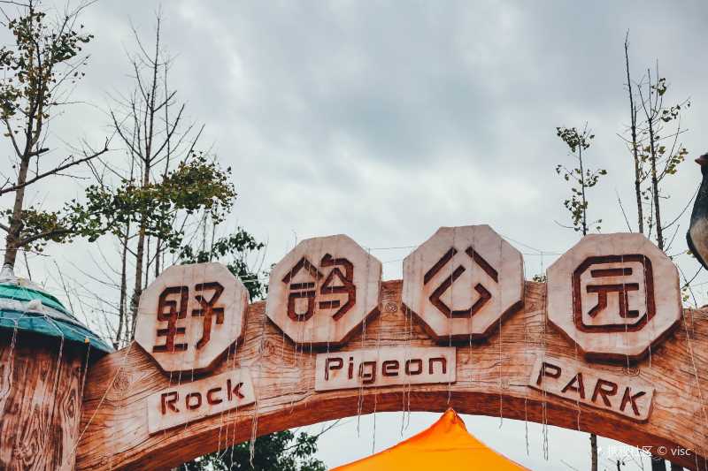 温州野鸽公园