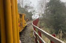 台灣嘉義縣阿里山森林遊樂區，最有名氣的森林鐵路小火車。以前是載運木材🪵，現在是觀光產業。