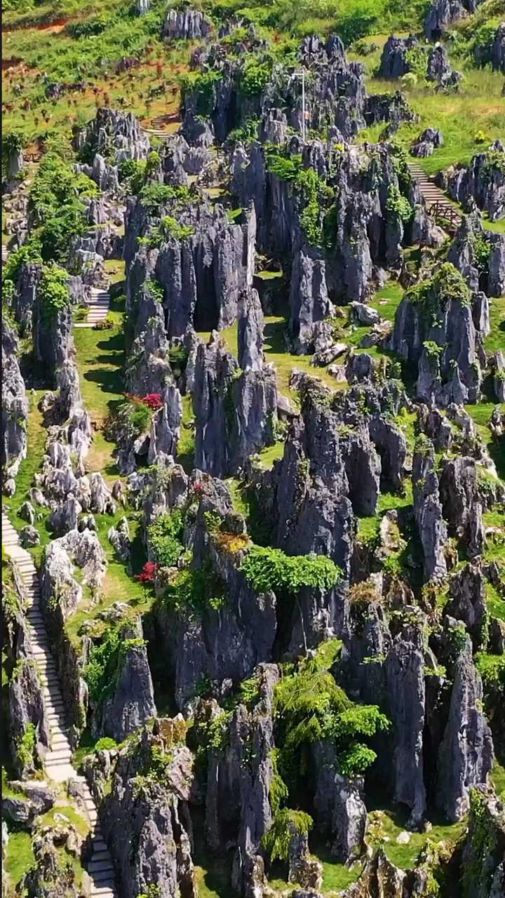 藏在深山里的贵州思南石林纯天然的美景