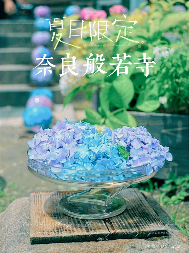 夏天的奈良 遇见迷人的紫阳花 携程氢气球 夏天的奈良 遇见迷人的紫阳花 携程氢气球